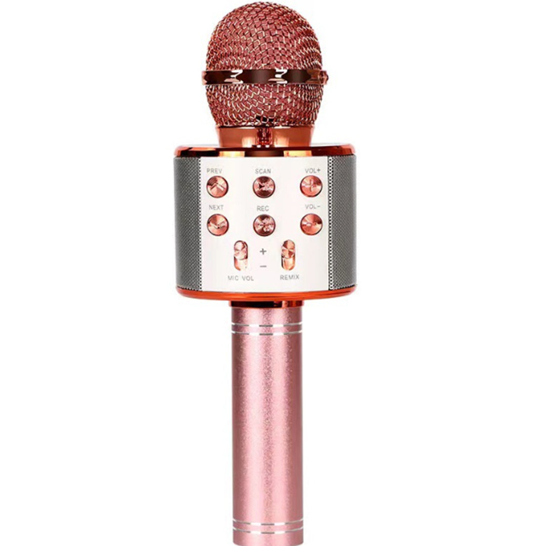 Multipurpose Rechargeable Bluetooth Speaker Mic with Many Features