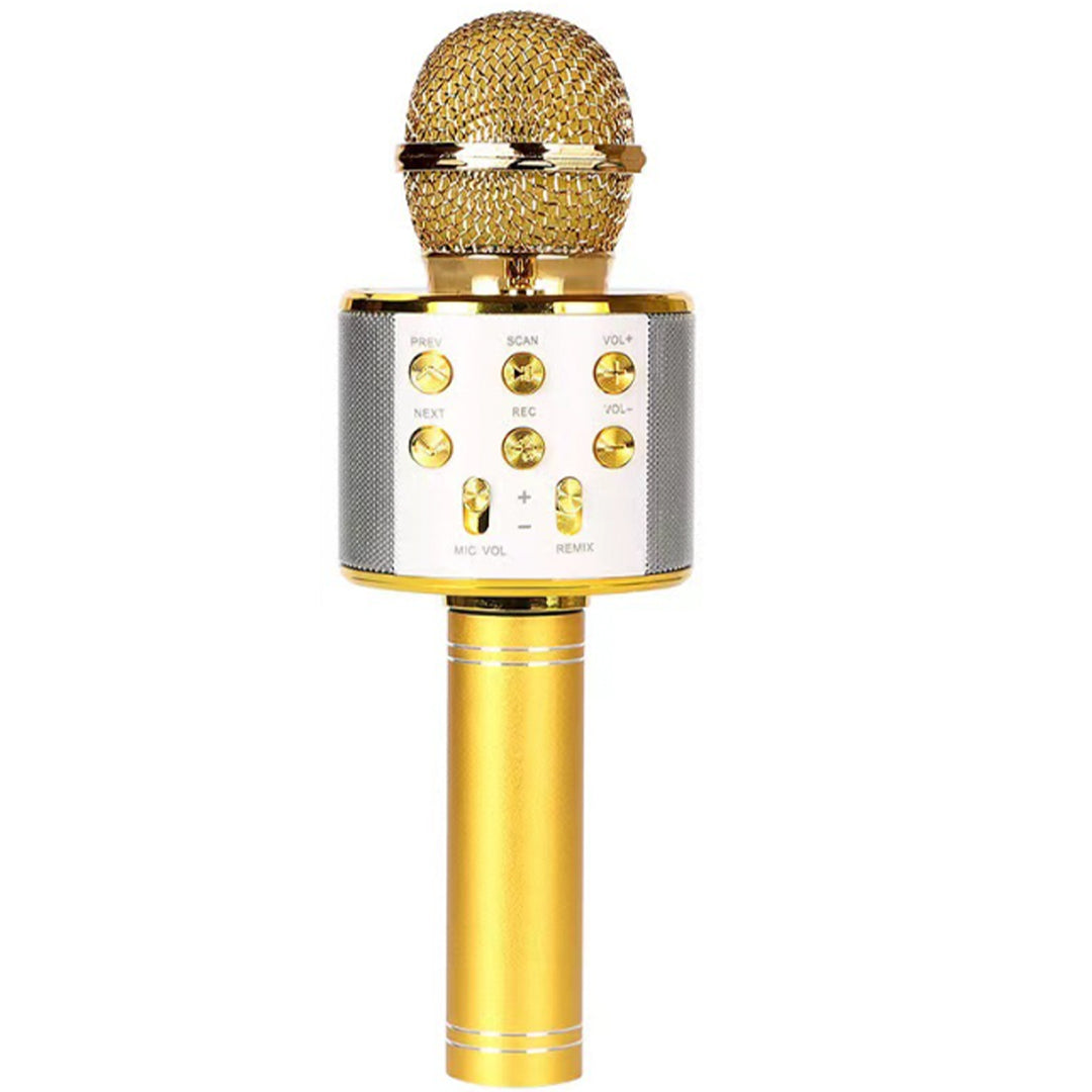 Multipurpose Rechargeable Bluetooth Speaker Mic with Many Features